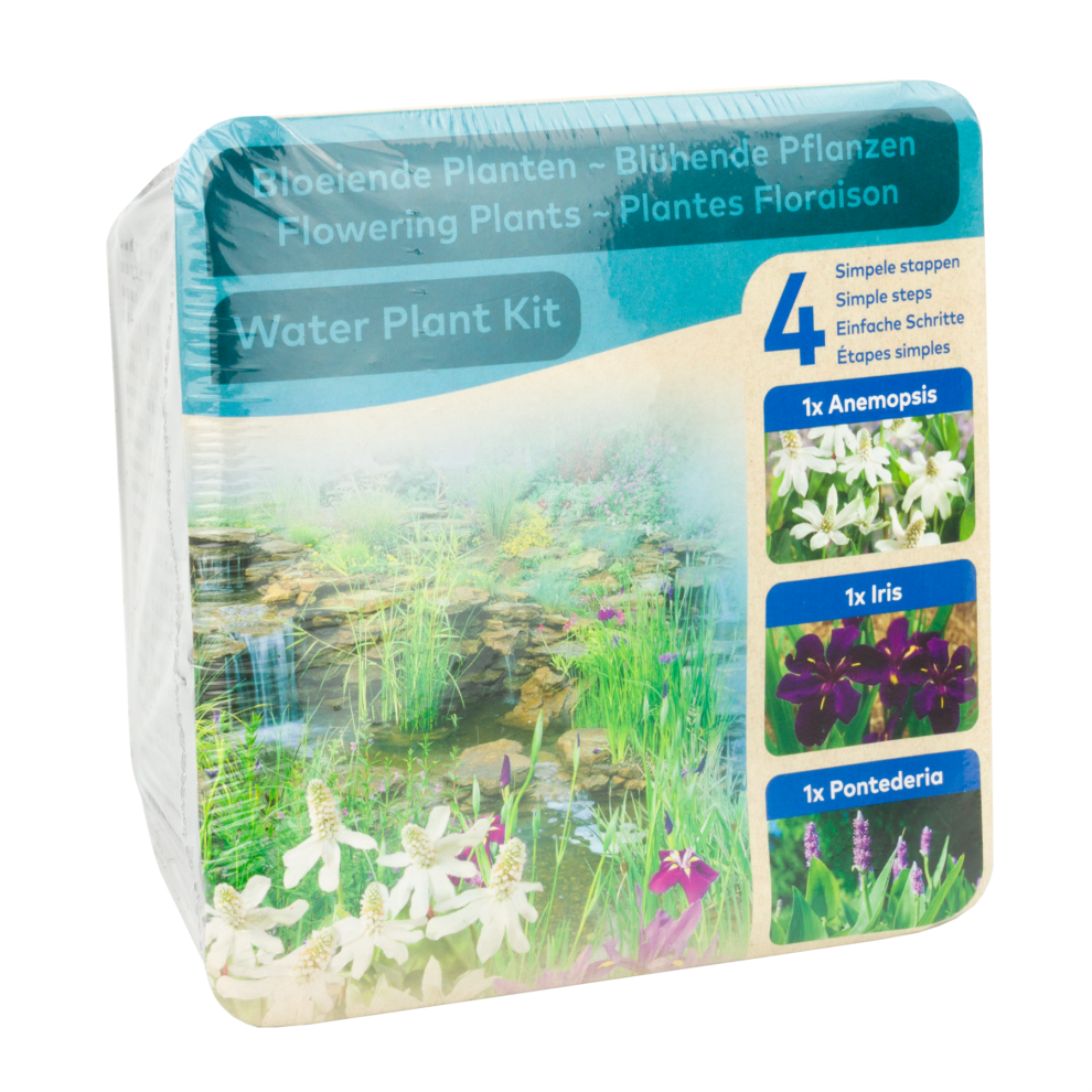 Moerings Waterplants Zone 3 Pond Plants Complete Aquatic Planting Kit - Flowering Plants (Iris, Anemopsis, And Pontederia)