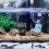 Statue Décorative pour Aquarium,  Figurine Bouddhiste, Décoration de Bureau, Paysage de Table, Statue de Maison, Grès, Thaïlande 4