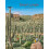 Desert Jungle by Jeannie Baker Paperback Book 1