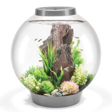 biOrb Classic 60 Acrylic 16-Gallon Aquarium with White LED Lights Modern Tank for Tabletop Display, Silver
