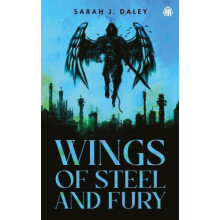 Wings of Steel amp Fury by Sarah J. Daley Paperback Book