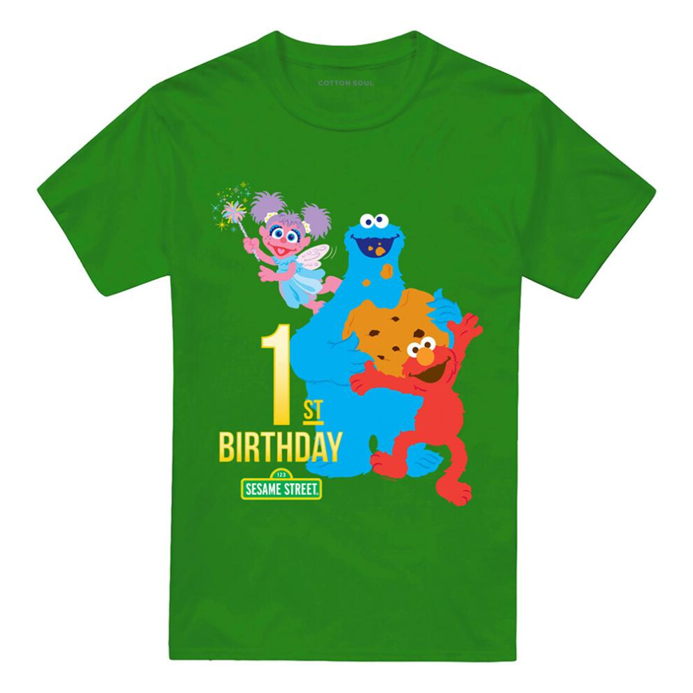 Sesame Street (3Xl, Kelly ) Unisex Adult 1St Birthday T-Shirt Green