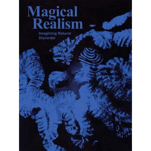 Magical Realism Paperback Book