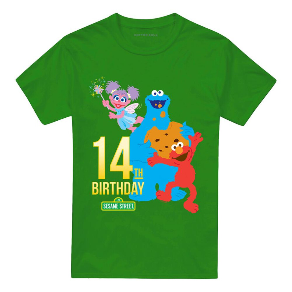 Sesame Street (3Xl, Kelly ) Unisex Adult 14Th Birthday T-Shirt Green