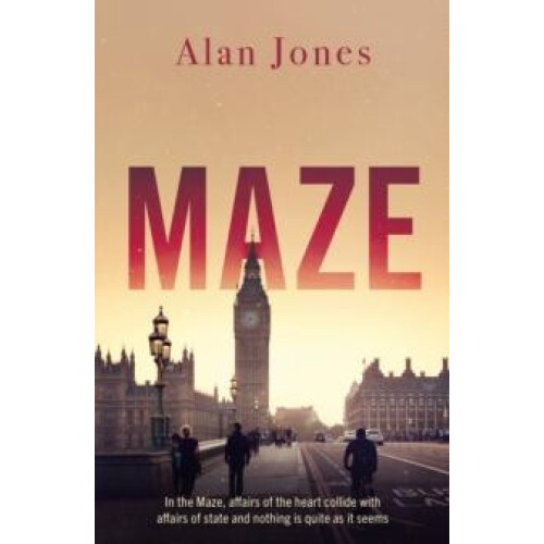 Maze by Alan Jones Paperback Book