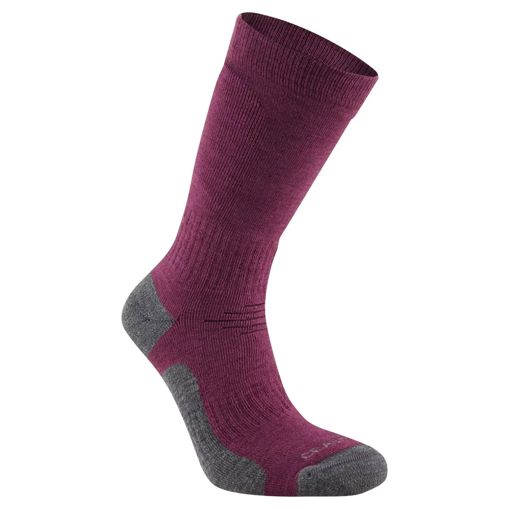 Craghoppers (3 Uk-5 Uk, Wildberry ) Unisex Adult Trek Merino Wool Socks Purple