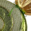 Large Lime Sweetie Decoration 2