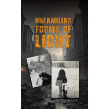 Unfamiliar Forms of Light by Beccy Palmer Paperback Book