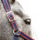 Whitaker Airflow Horse Headcollar and Leadrope Set 2