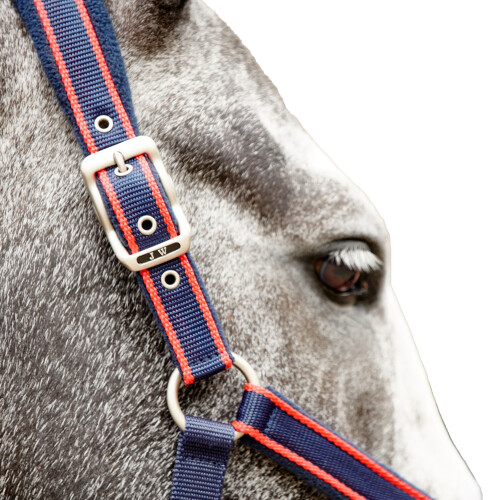 Whitaker Airflow Horse Headcollar and Leadrope Set 1