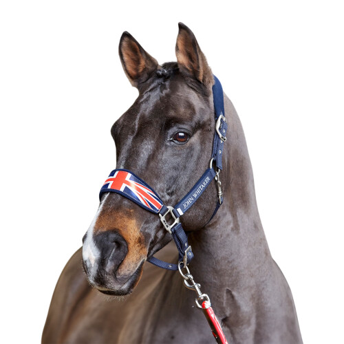 (Full, Navy) Whitaker Union Jack Padded Horse Headcollar 1