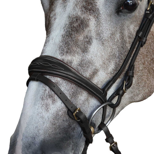 (Full, Black) Whitaker Leather Horse Flash Noseband 1