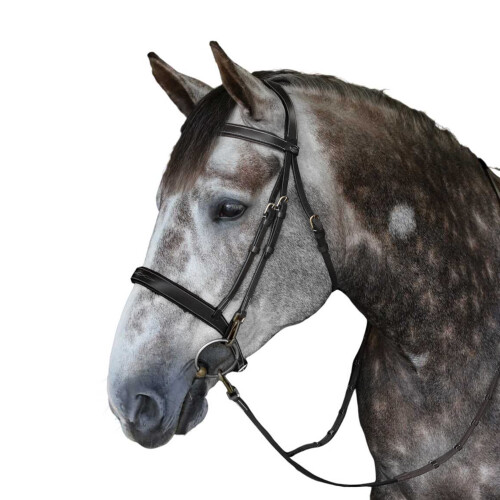 (Cob, Black) Whitaker Madrid Leather Horse Snaffle Bridle 2