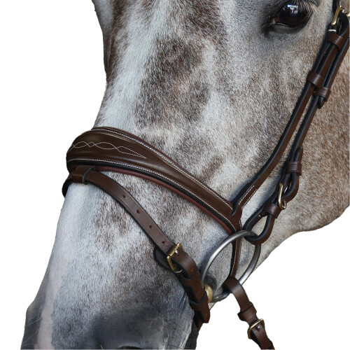 Whitaker Leather Horse Flash Noseband 1