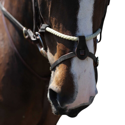 (Pony, Black) Whitaker RNB Leather Horse Noseband 2