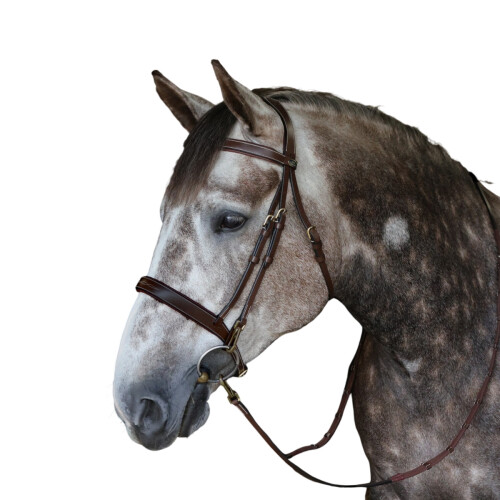 (Cob, Havana) Whitaker Madrid Leather Horse Snaffle Bridle 1