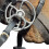 (145mm, Steel) Whitaker Bullet Horse Universal Bit 3