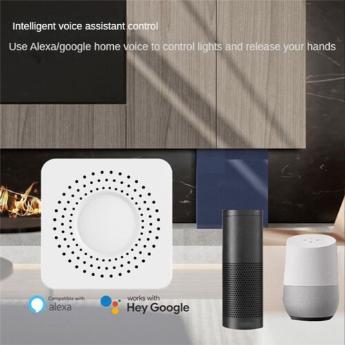 Tuya WiFi  Dimmers  Module Supports 2 Way Control LED Lights Dimmable  Work with for Alexa  Home 2