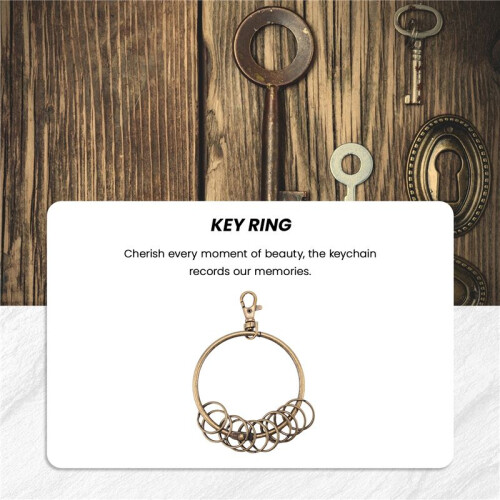 Bronze Tone Carabiner Prisoner Keyring 10 Loops Key Chain  7.6cm 2