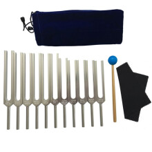 Set Diapason, 11 Diapason per la Guarigione, Terapia del Suono, con Panno per la Pulizia del Martello nel Silicone e Borsa
