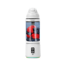 Portable Blender Personal Blender for Shakes and Smoothies Ice Blender for Kitchen Travel Juice Machine 700ML