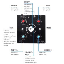 Dual Microphone Karaoke Machine 5.0 Sound Power Amplifier Integrated Amp & U-Disk Player Home Audio Subwoofer