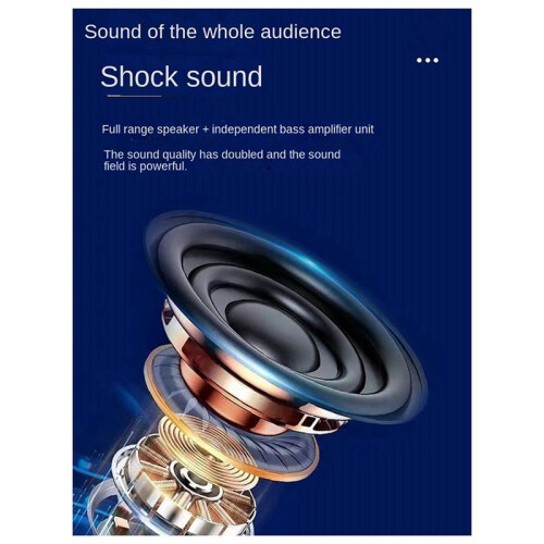 Karaoke Machine with 2 Wireless Microphones, Portable  Speaker 2