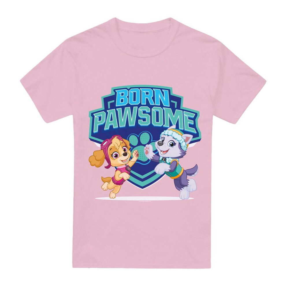 Paw Patrol (Xl, ) Unisex Adult Born Pawsome Skye & Everest T-Shirt Pink