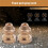 Foam Cannon Orifice Nozzle Tips, High Replacement Thread Nozzle For Snow Foam Lance, 1.1 Mm, 2-Pack 4