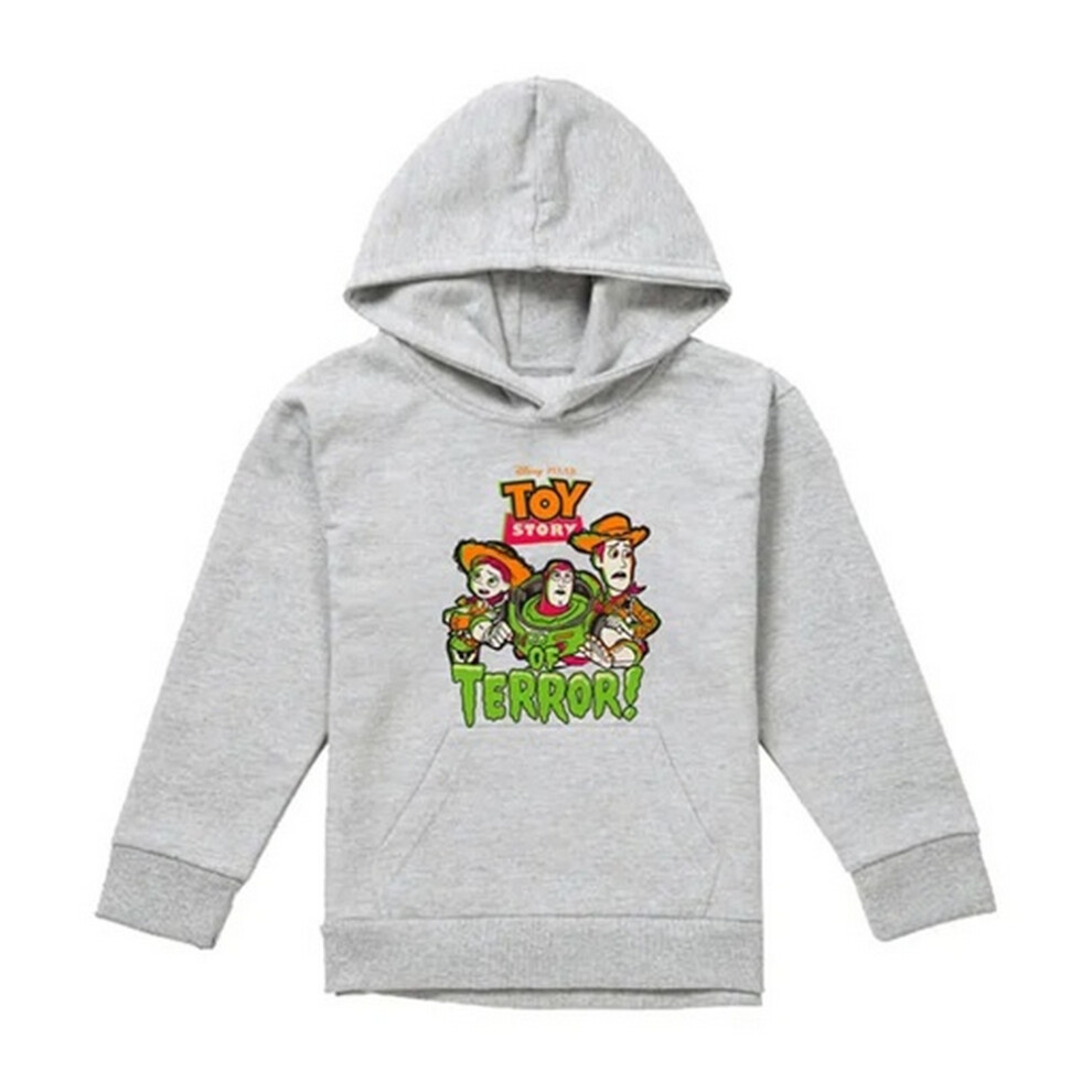 Toy Story (5-6 Years, Athletic Heather) Childrens/Kids Group Terror Heather Pullover Hoodie Multicoloured