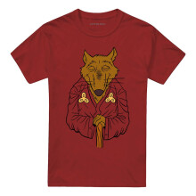(XXL, Cardinal) Teenage Mutant Ninja Turtles Unisex Adult Splinter Costume T-Shirt