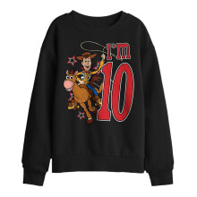 (7-8 Years, Black) Toy Story Childrens/Kids I'm 10 Woody Birthday Sweatshirt