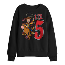 (9-11 Years, Black) Toy Story Childrens/Kids I'm 5 Woody Birthday Sweatshirt