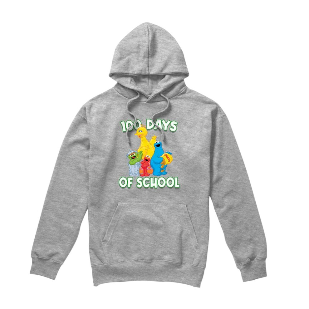 Sesame Street (Xxl, Athletic Heather) Unisex Adult Hoodie Multicoloured