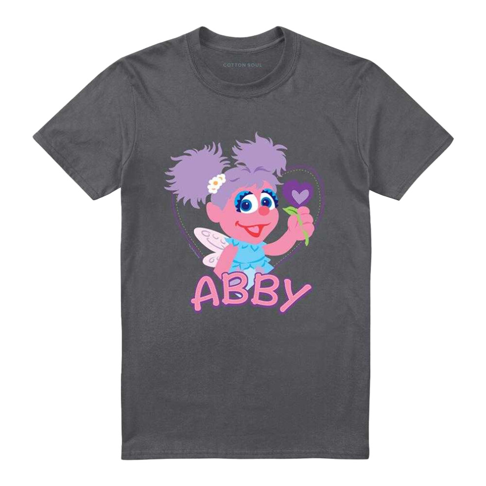 Sesame Street (4Xl, Charcoal) Unisex Adult Abby Cadabby Flat T-Shirt Multicoloured