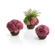 (Purple) biOrb Coral Ball Set Aquarium Fish Tank Ornament Decoration Tropical Artificial Accessories