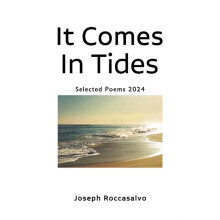 It Comes In Tides by Joseph Roccasalvo Paperback Book