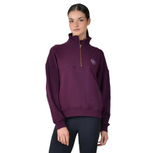 (12 UK, Purple Violet) Dublin Womens/Ladies Quarter Zip Fleece Top