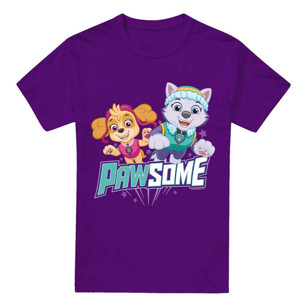 Paw Patrol (3Xl, ) Mens Pawsome Skye & Everest T-Shirt Purple