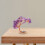 5Stk Amethyst Kristall Baum Edelstein Für Wohnzimmer Büro 9