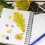 4Sheets Assorted Color Cartoon Fruit Vegetable Stickers Kids 3D Decals 4