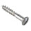 Forgefix Forgefix Multi-purpose Screws,sl, Chrome Plated 1