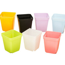 Pots de Fleurs Colorés, Pots de Fleurs en Plastique, Pots de Fleurs Succulentes (Couleurs Aléatoires)