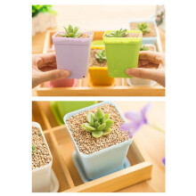 Colorful Flower Pots, Plastic Flower Pots, Succulent Flower Pots (Random Colors)