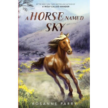 A Horse Named Sky by Rosanne Parry Paperback Book