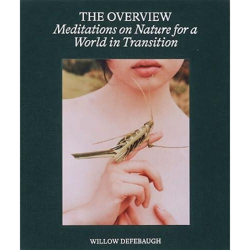 The Overview by Willow Defebaugh Hardcover Book