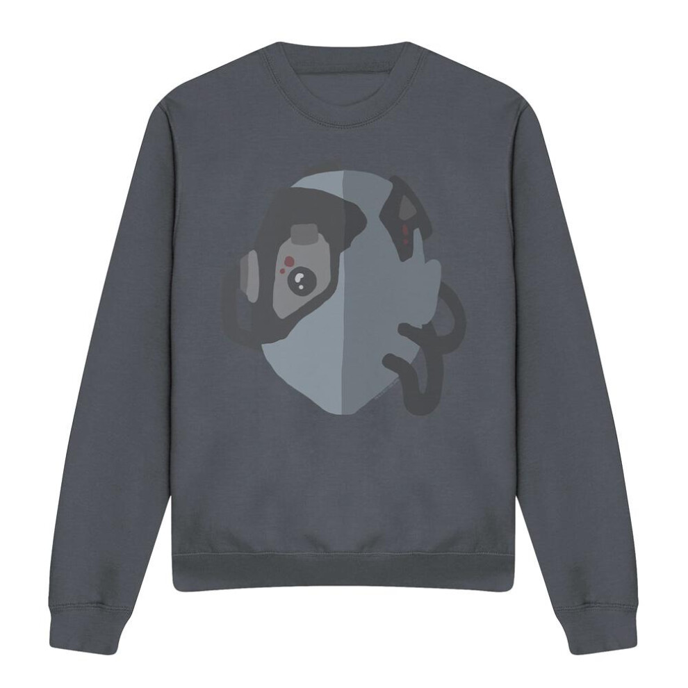 Star Trek (L, ) Unisex Adult The Borg Sweatshirt Black