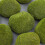 8Pièces Pierre Mousse Verte Décorative Simulation Élégante Pour Maison 4