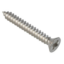 Forgefix Self-tapping Screws, Pozi, Pan Head, A2 Stainless Steel