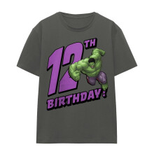 (XL, Charcoal) The Incredible Hulk Womens/Ladies 12th Birthday T-Shirt